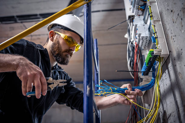 Best Affordable Electrician  in Delta Junction, AK