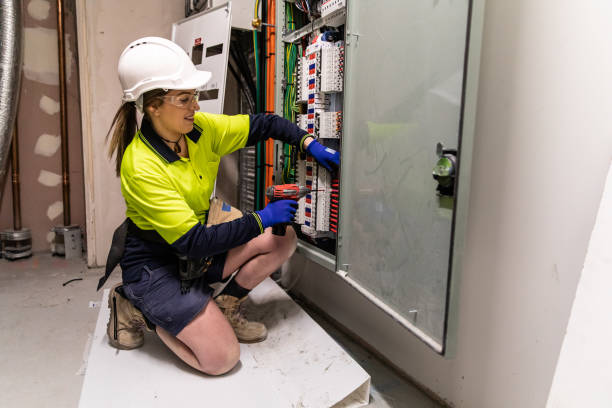 Best Ceiling Fan Installation Electrician  in Delta Junction, AK