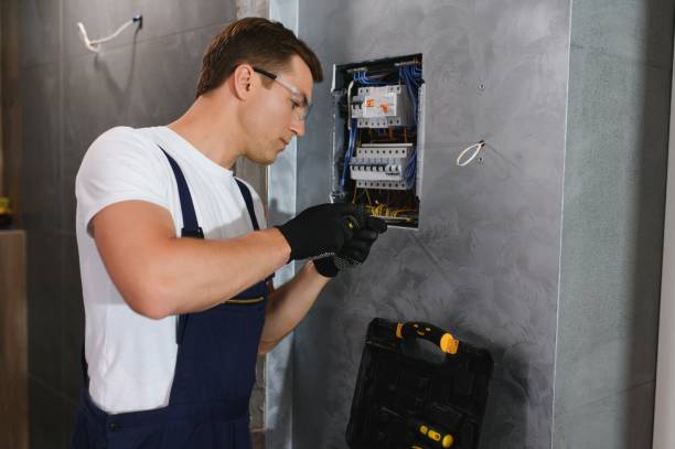Best Electrical Upgrades for Homes  in Delta Junction, AK