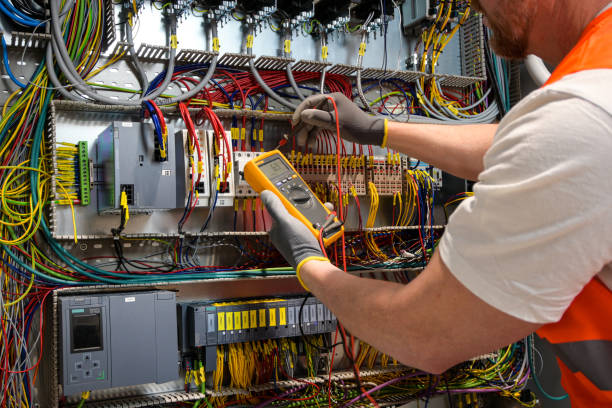 Best Home Electrical Repair  in Delta Junction, AK