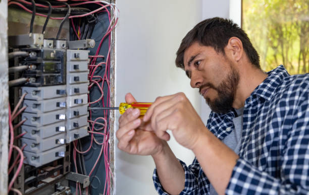 Best Electrician for Home Renovation  in Delta Junction, AK